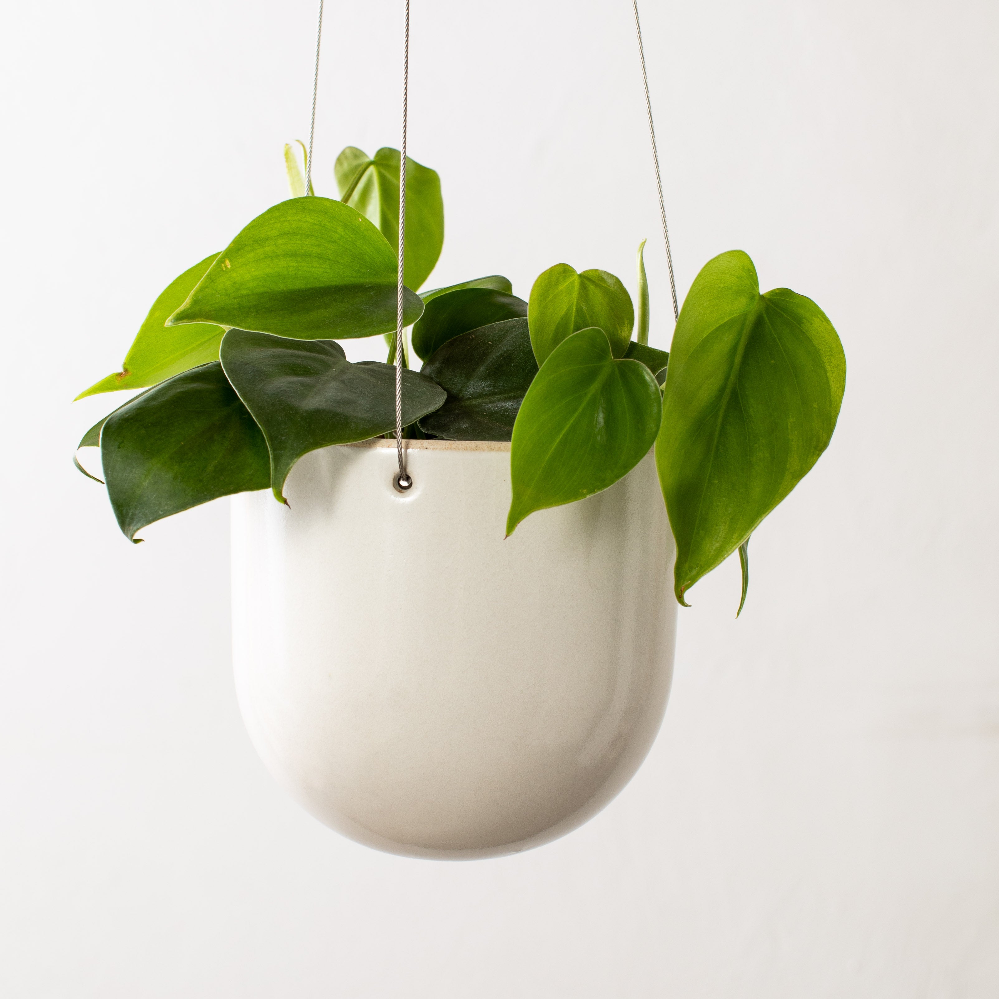 Arched Hanging Planter No. 1 | Stoneware image 3
