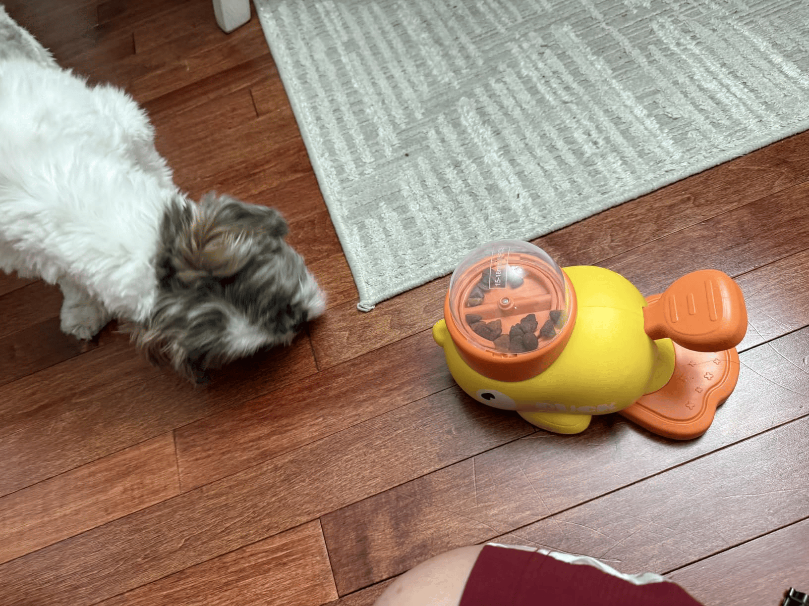 🎉🔥 Yellow Duck-Shaped Interactive Pet Feeder