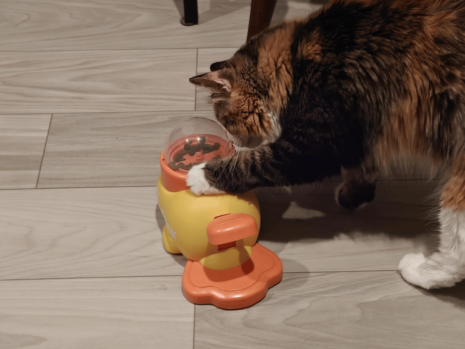 🎉🔥 Yellow Duck-Shaped Interactive Pet Feeder