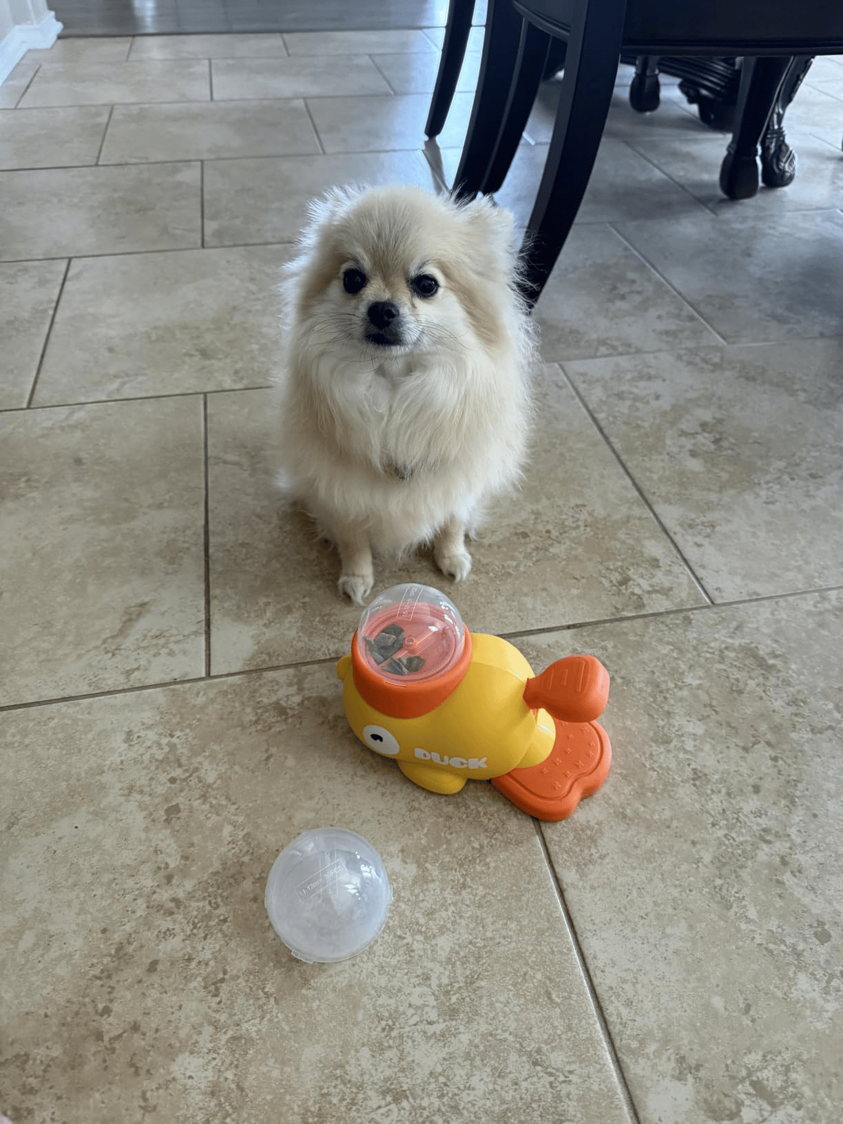 🎉🔥 Yellow Duck-Shaped Interactive Pet Feeder