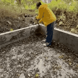 Clearing dry leaves from a patio