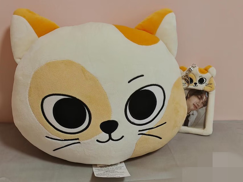 BOYNEXTDOOR BBNEXDO Official Merch inspired Pillow Plush Doll