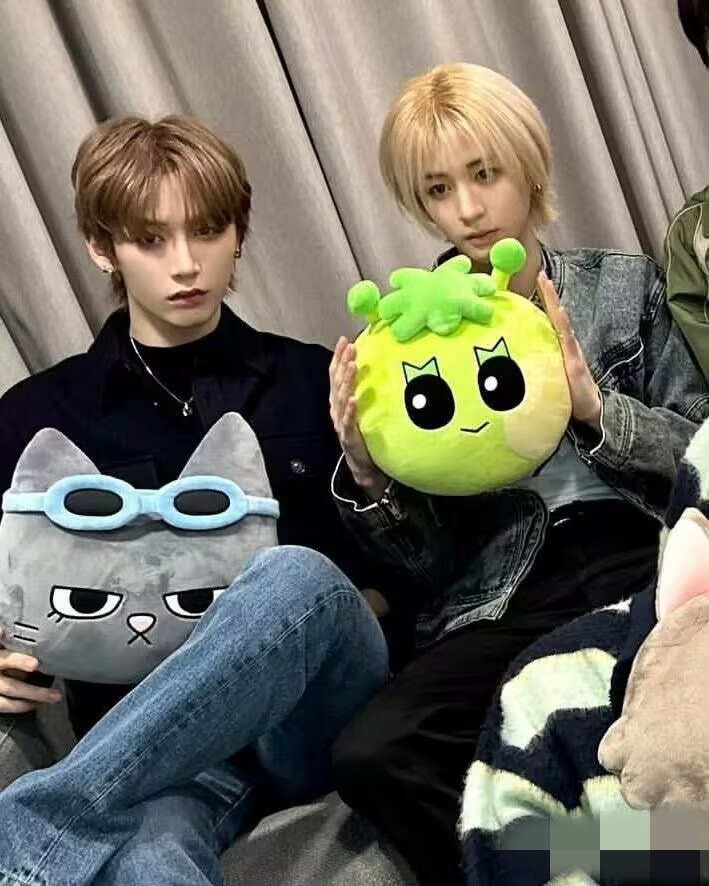 BOYNEXTDOOR BBNEXDO Official Merch inspired Pillow Plush Doll