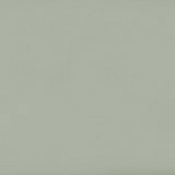 Dolphin Grey