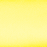daffodil