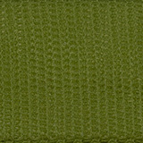 moss