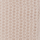 tulle Preview
