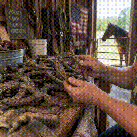 real horseshoe