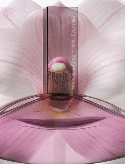 Euphoria Eau De Toilette For Women