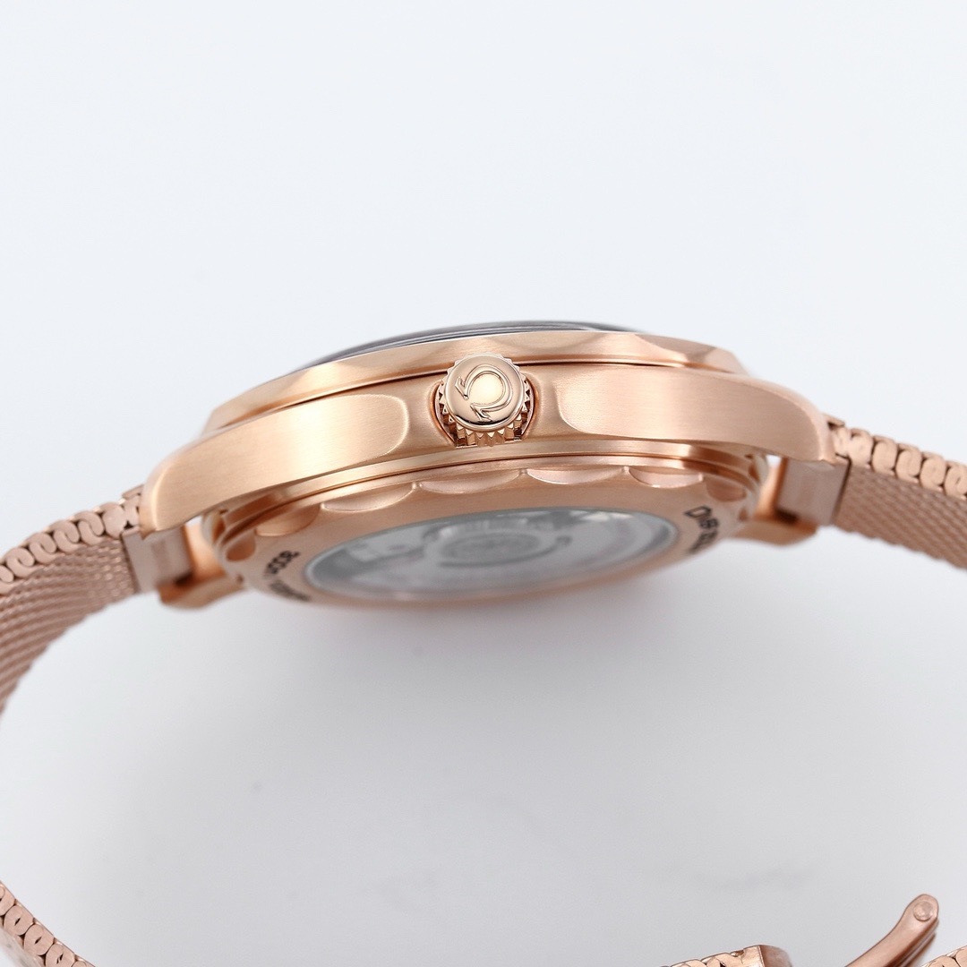 OMEGA Seamaster ER Upgraded Titanium Bronze Gold 007 Watch