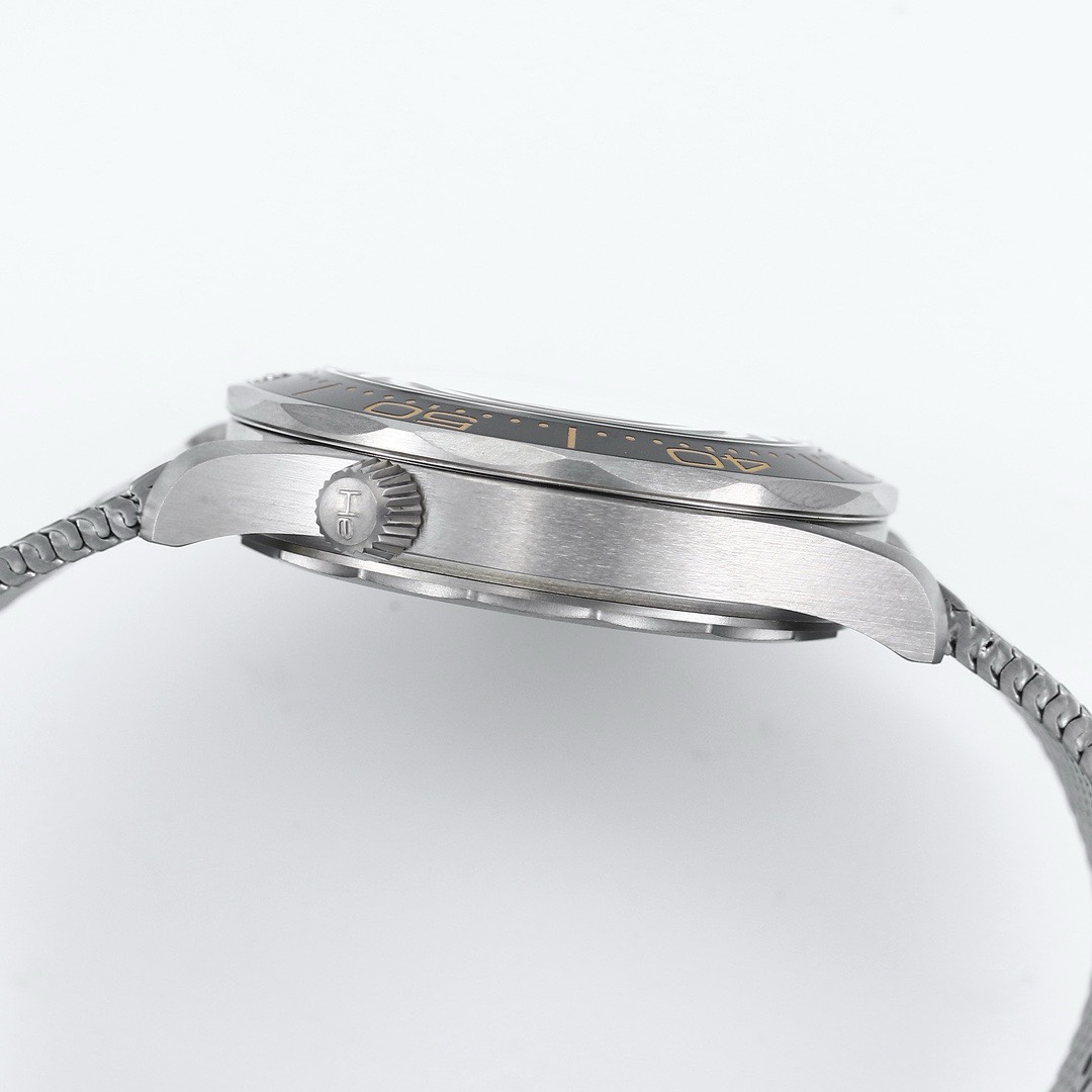 OMEGA Seamaster ER Upgraded Titanium Bronze Gold 007 Watch