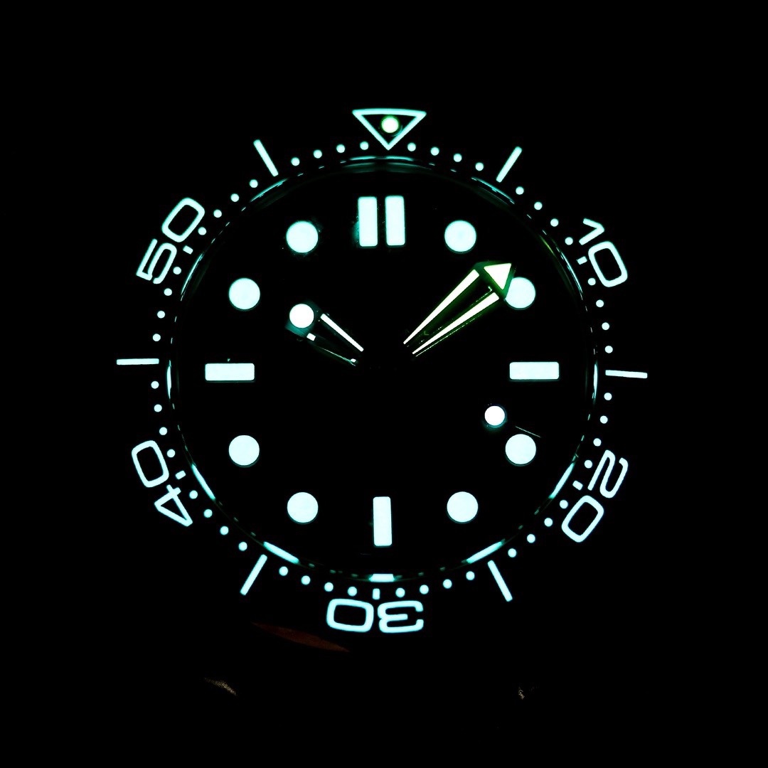 OMEGA Seamaster ER Upgraded Titanium Bronze Gold 007 Watch