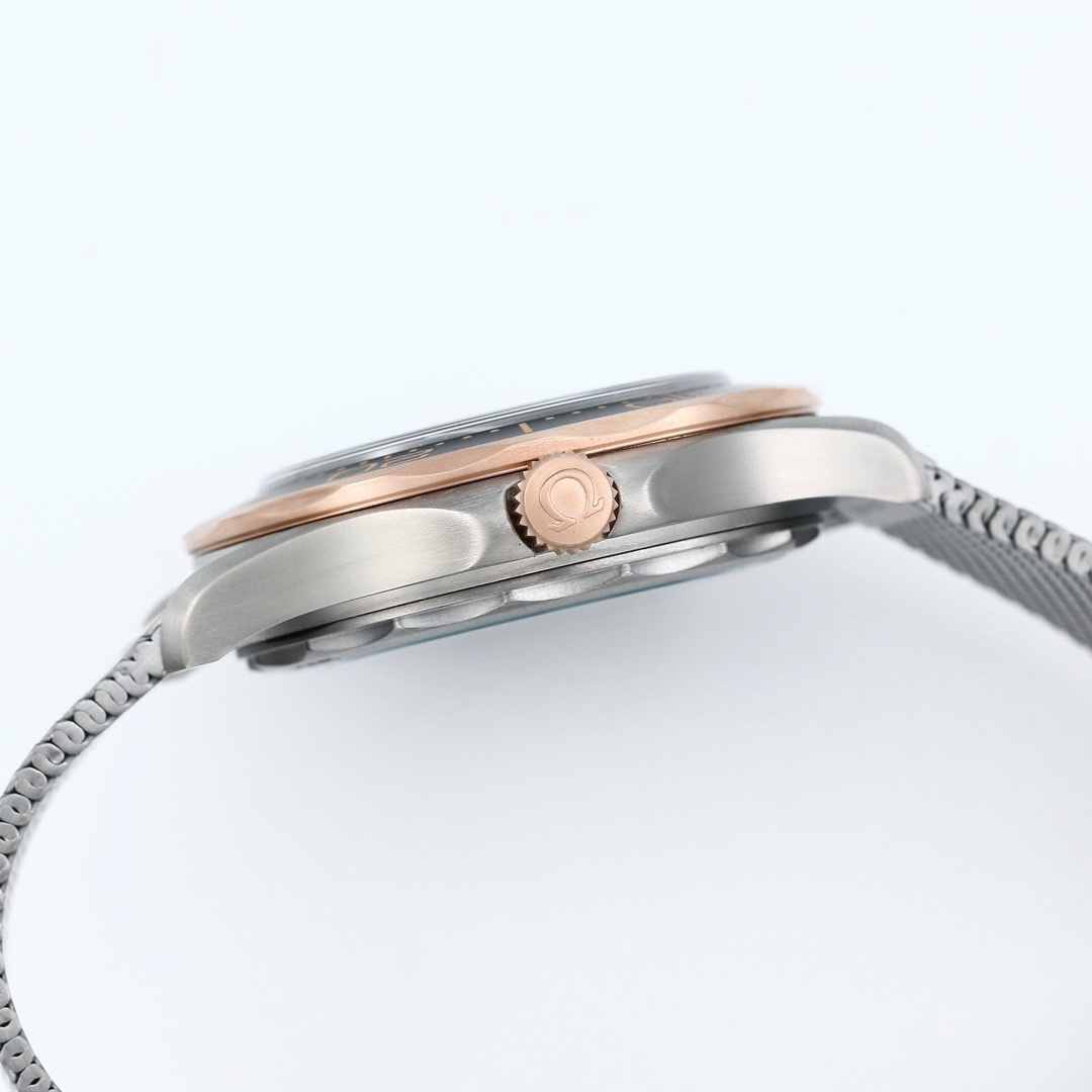 OMEGA Seamaster ER Upgraded Titanium Bronze Gold 007 Watch