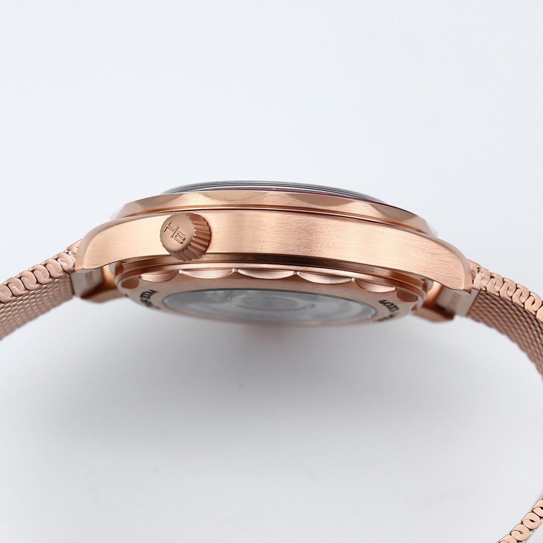 OMEGA Seamaster ER Upgraded Titanium Bronze Gold 007 Watch