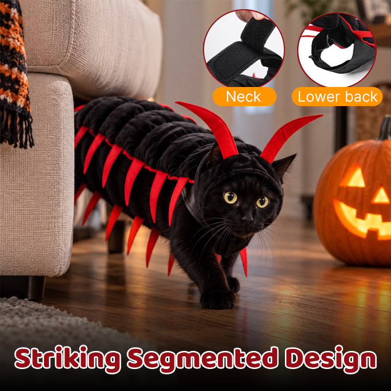Halloween-Kostüm „Tausendfüßler“ für Katzen