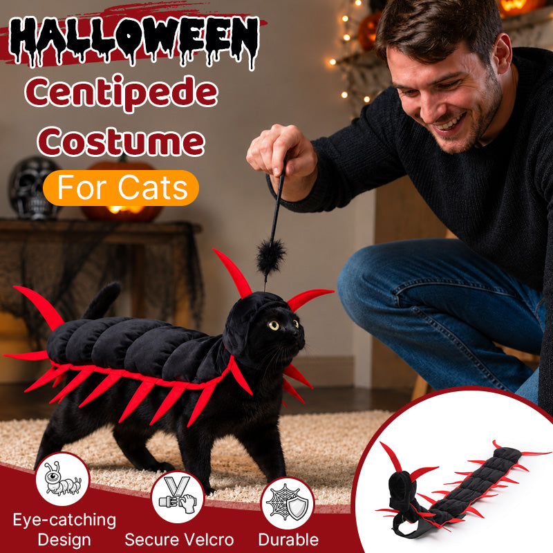 Halloween-Kostüm „Tausendfüßler“ für Katzen