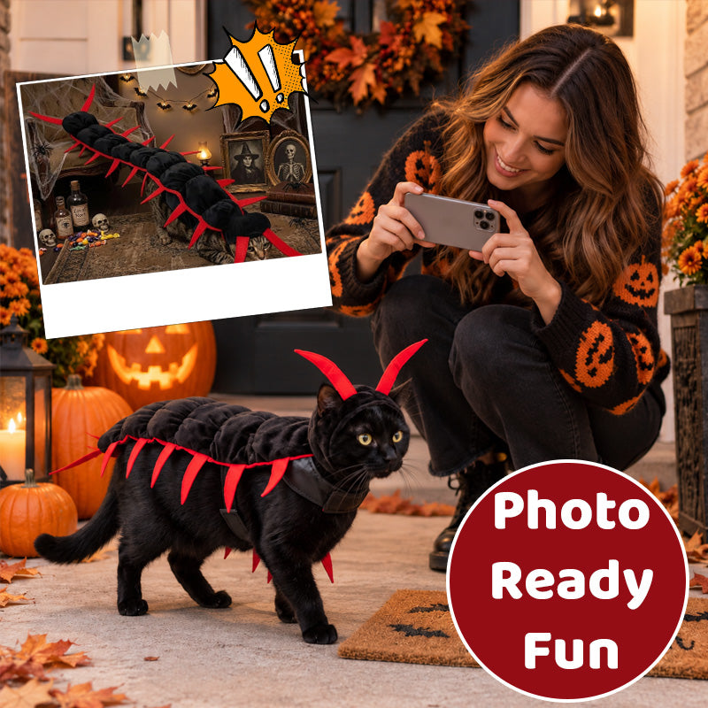 Halloween-Kostüm „Tausendfüßler“ für Katzen