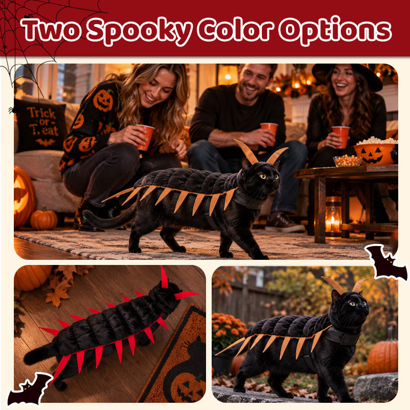 Halloween-Kostüm „Tausendfüßler“ für Katzen