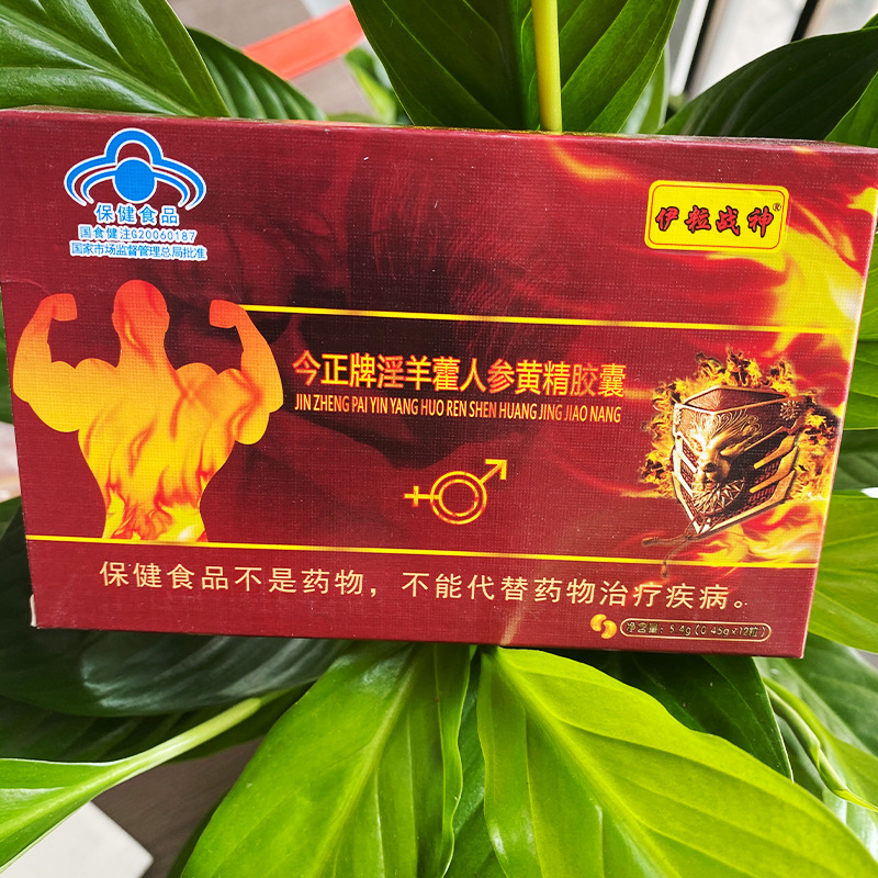 今正牌淫羊藿膠囊黃芪男性海狗食品丸藍帽保健品現貨人蔘枸杞代發