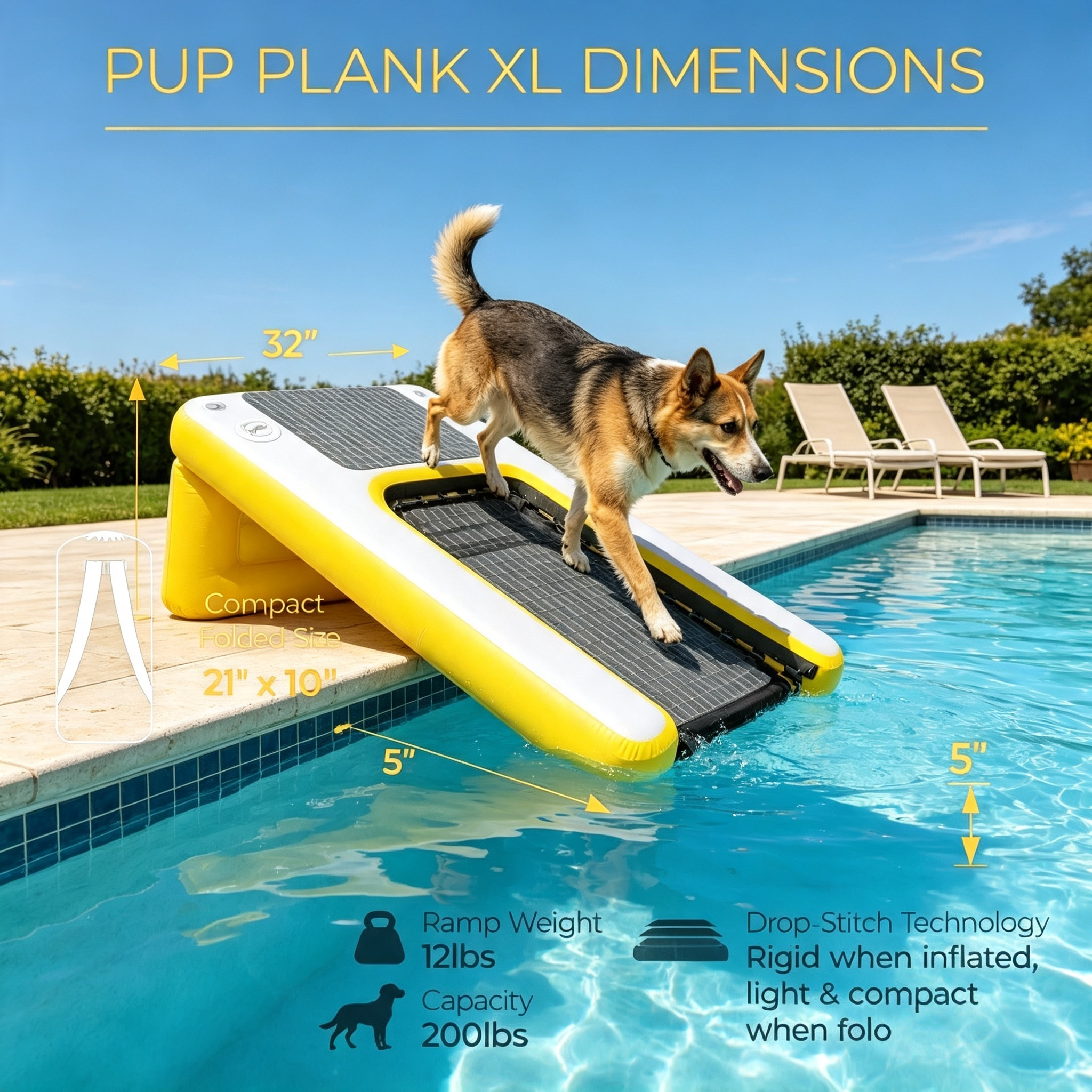 Inflatable Dog Float Board