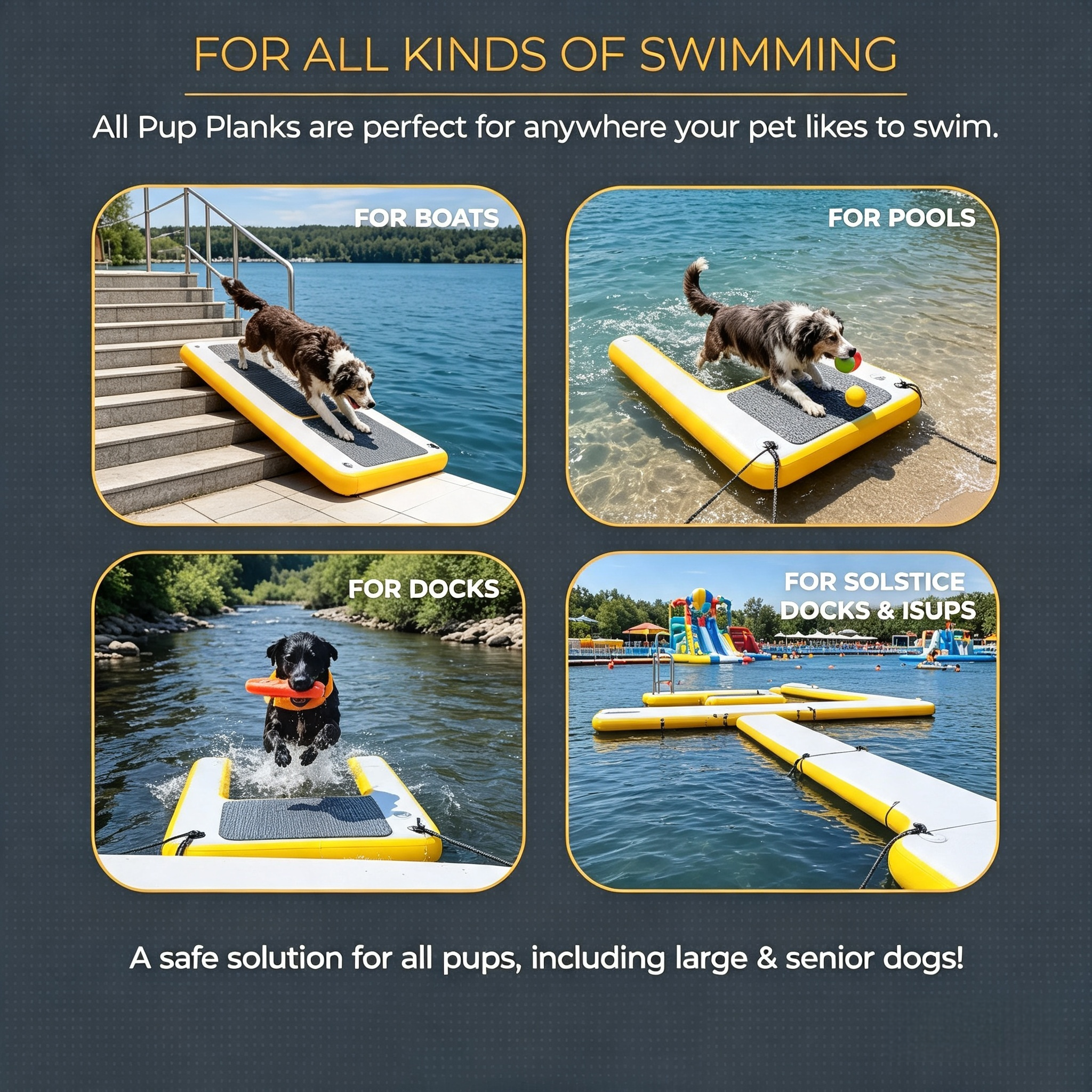 Inflatable Dog Float Board