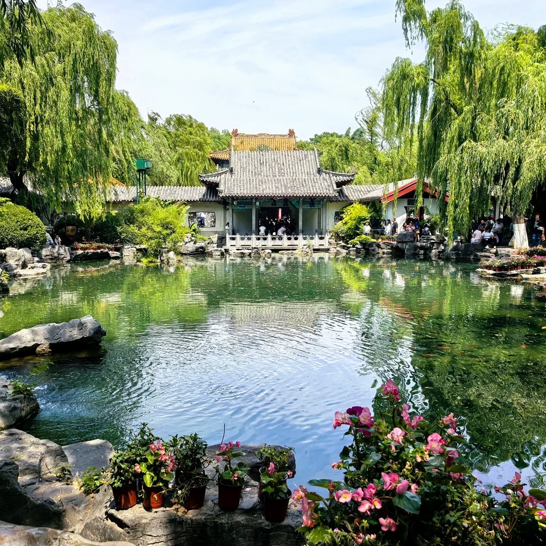 ShanDong-Dz baotuquan