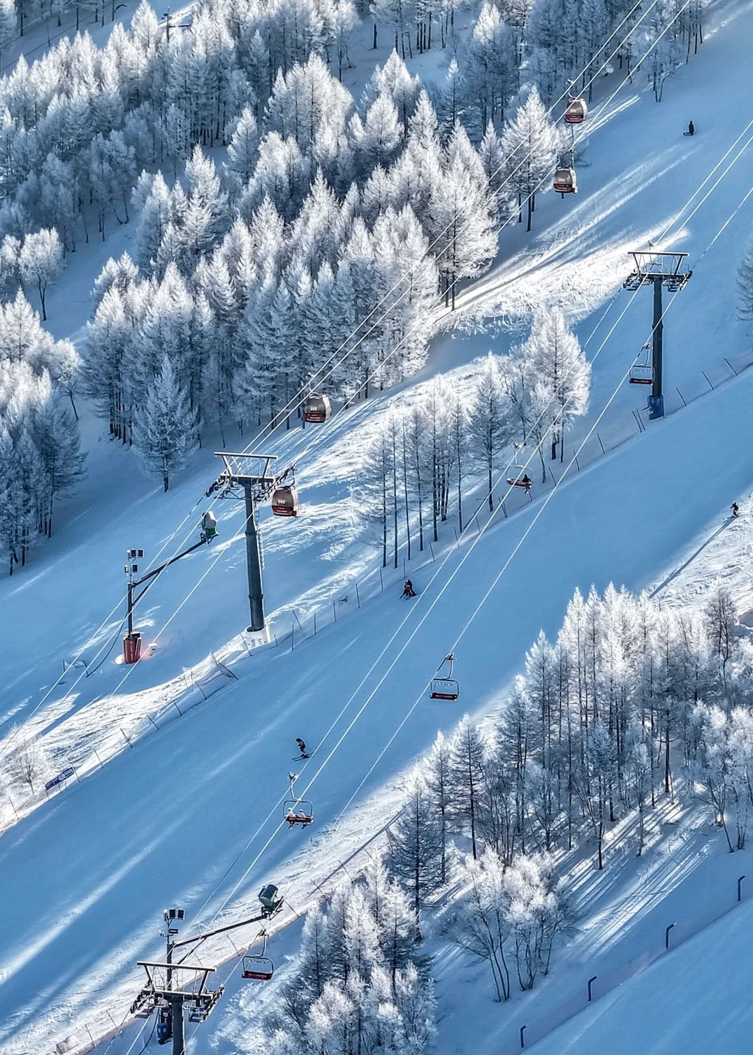 WINTER OLYMPIC CITY Chongli-