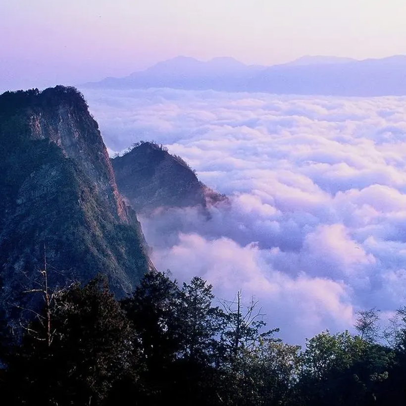 Taiwan-Alishan