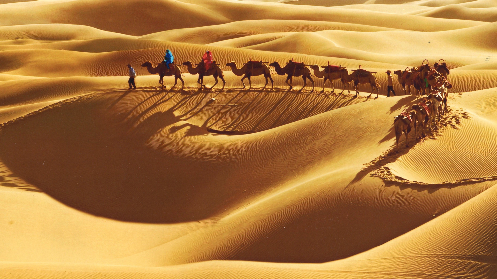 Ningxia