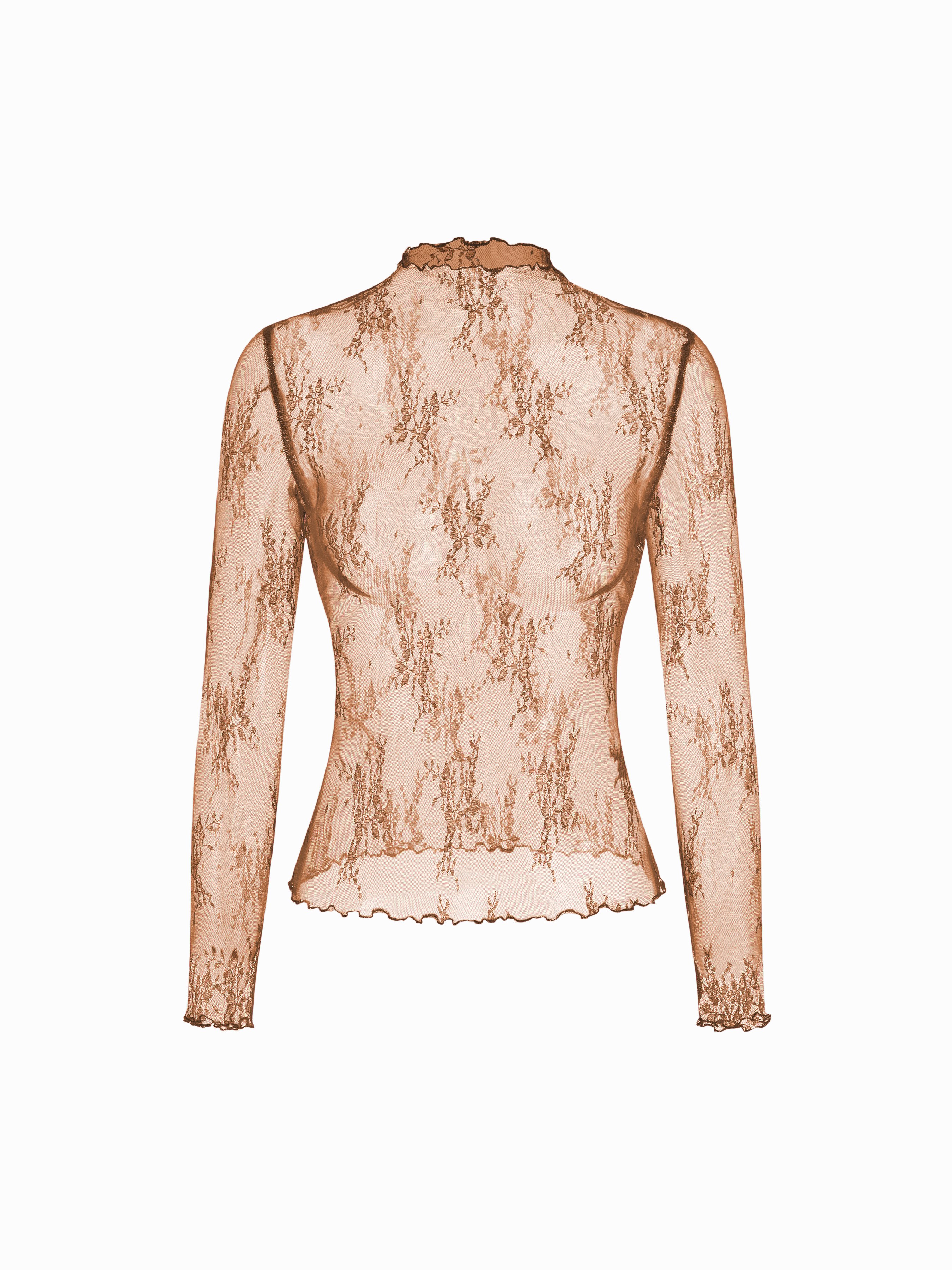 Lace High Neck Lace Long Sleeve Top — Brown