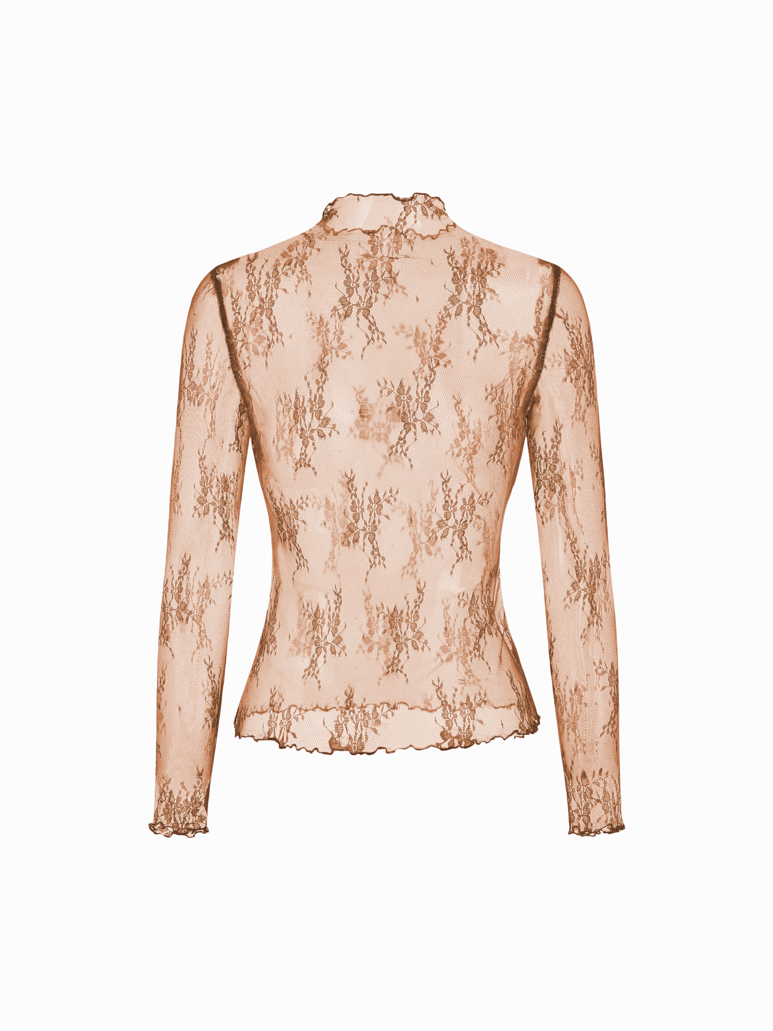 Lace High Neck Lace Long Sleeve Top — Brown