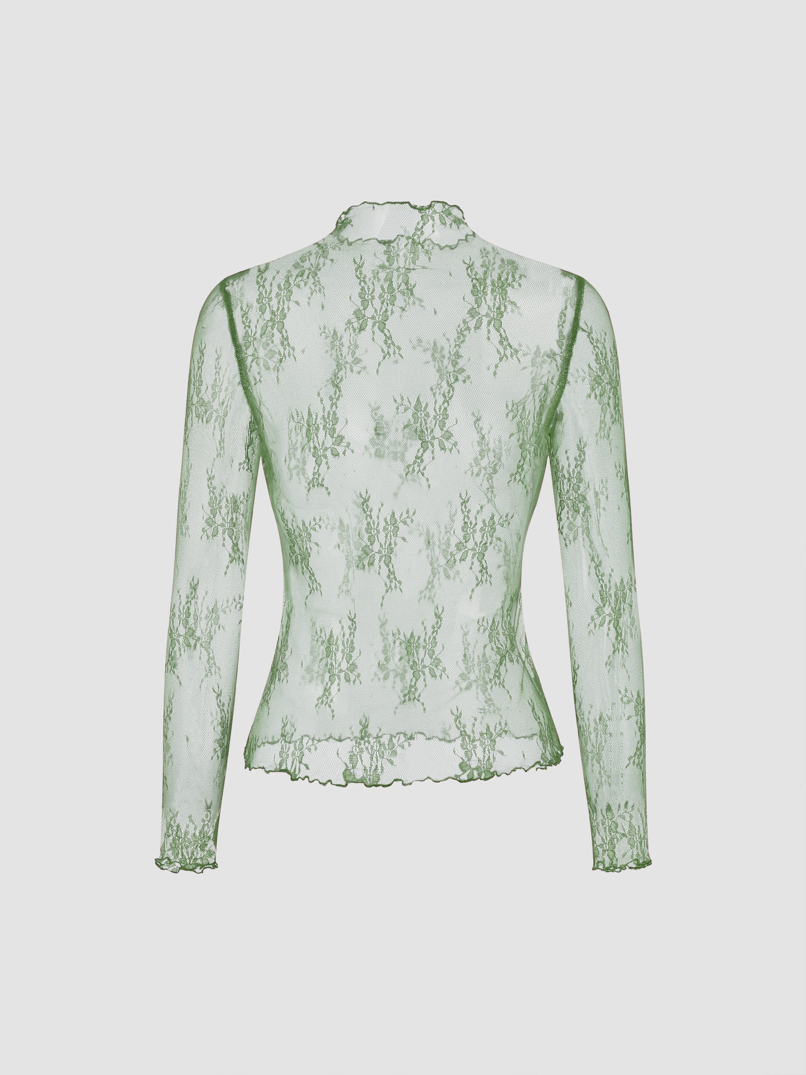 Lace High Neck Lace Long Sleeve Top — Light Green