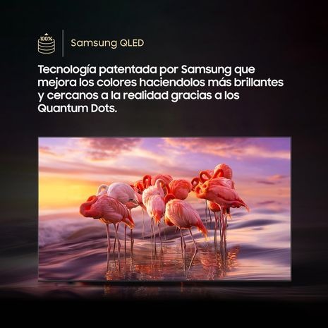 Solo una unidad disponible -QLED 65" UHD 4K Smart TV Q6 QN65Q6FAAGXPE