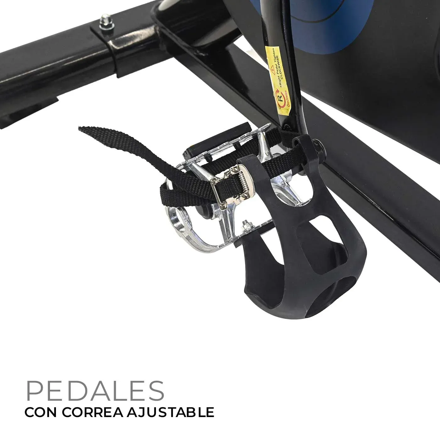 Bicicleta Spinning BM FITNESS 321