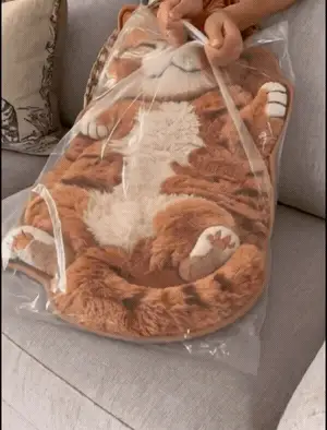 Chubby Tabby Cat Rug animated home display
