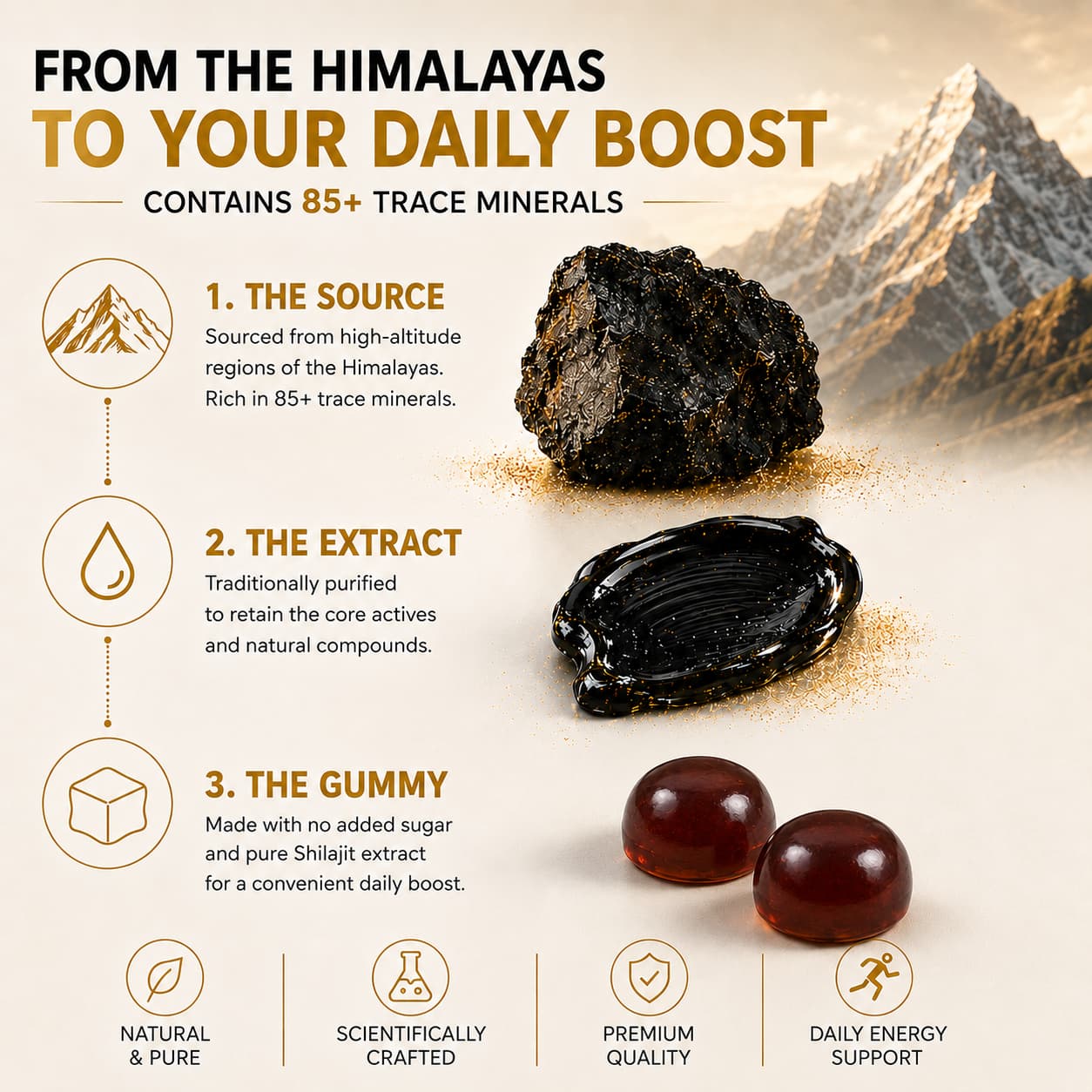 DUO SEVEN Shilajit Gummies  for Men & Women | Himalayan-Inspired Daily Wellness 60 Gummies