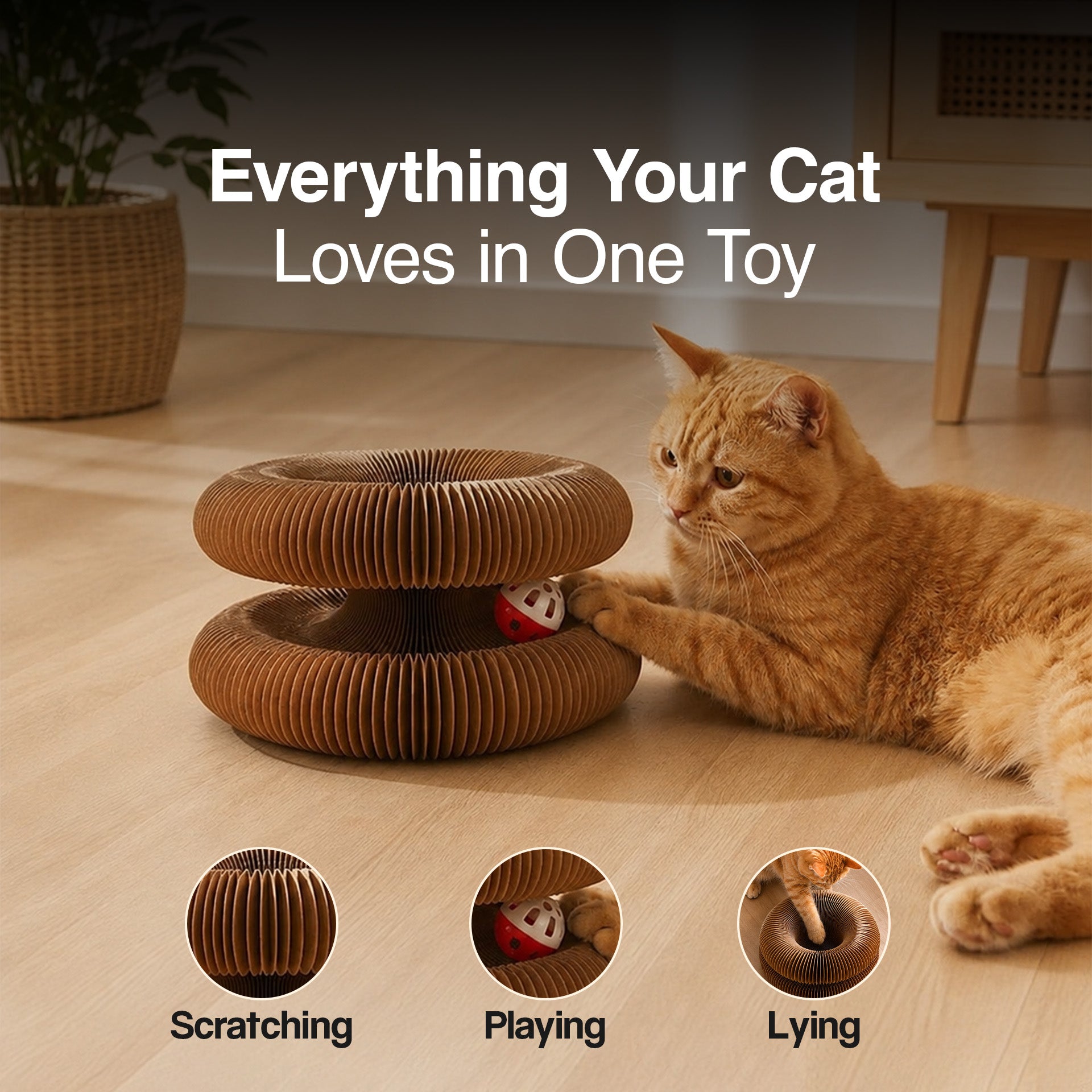 Foldable cat scratching board