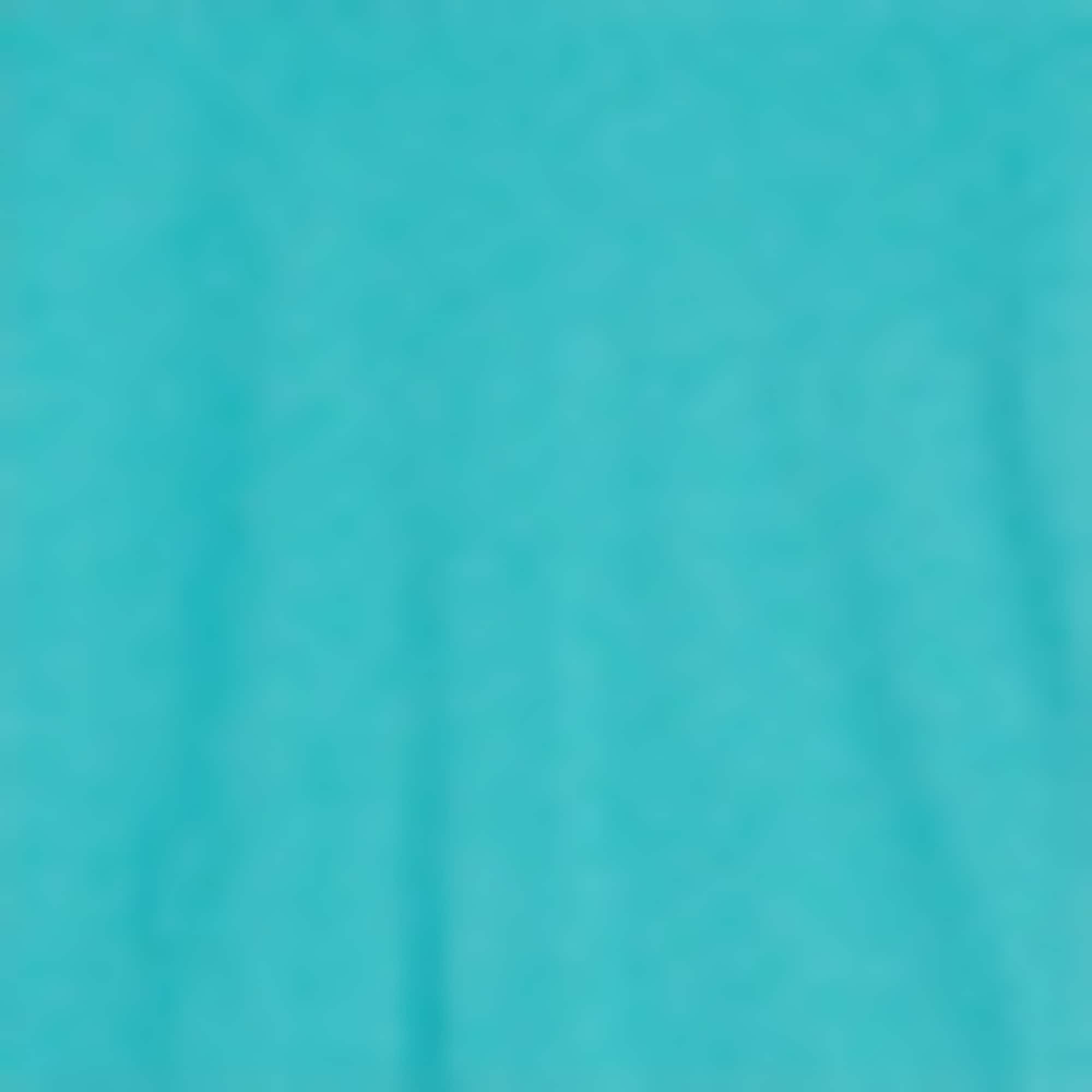 Multipack of 2 - T-shirt turquoise