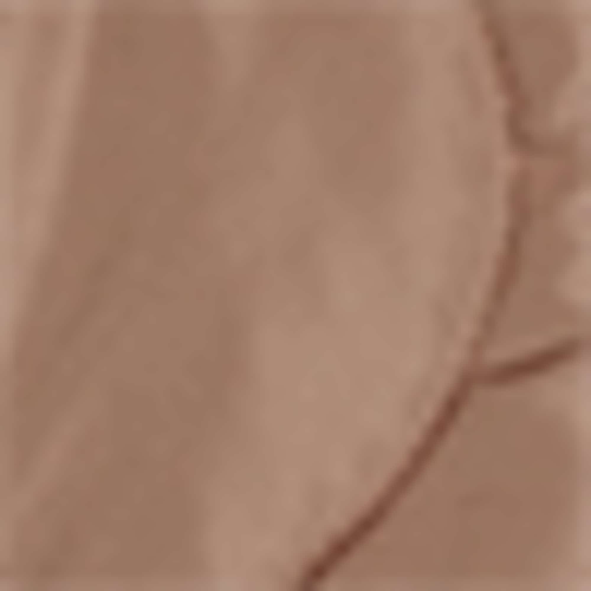 Quilted jacket - water-repellent taupe
