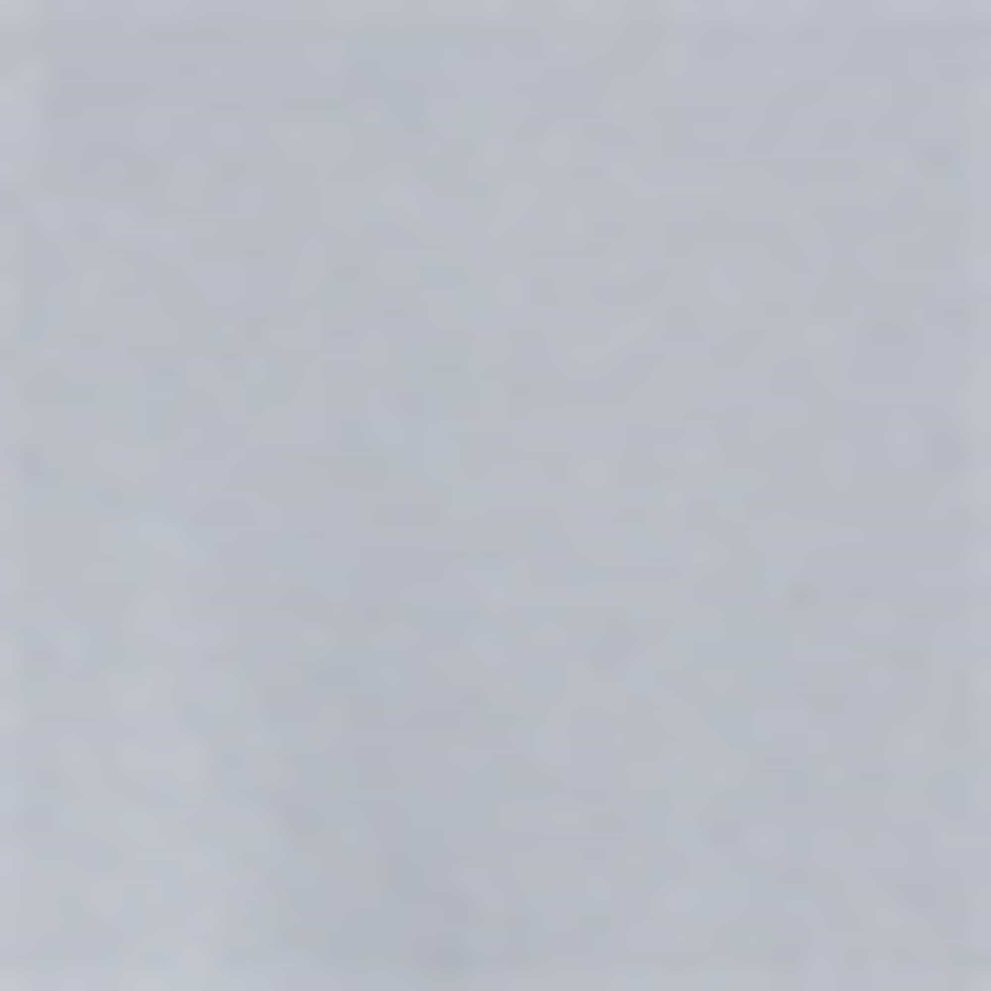Polo shirt - regular fit gray (2)