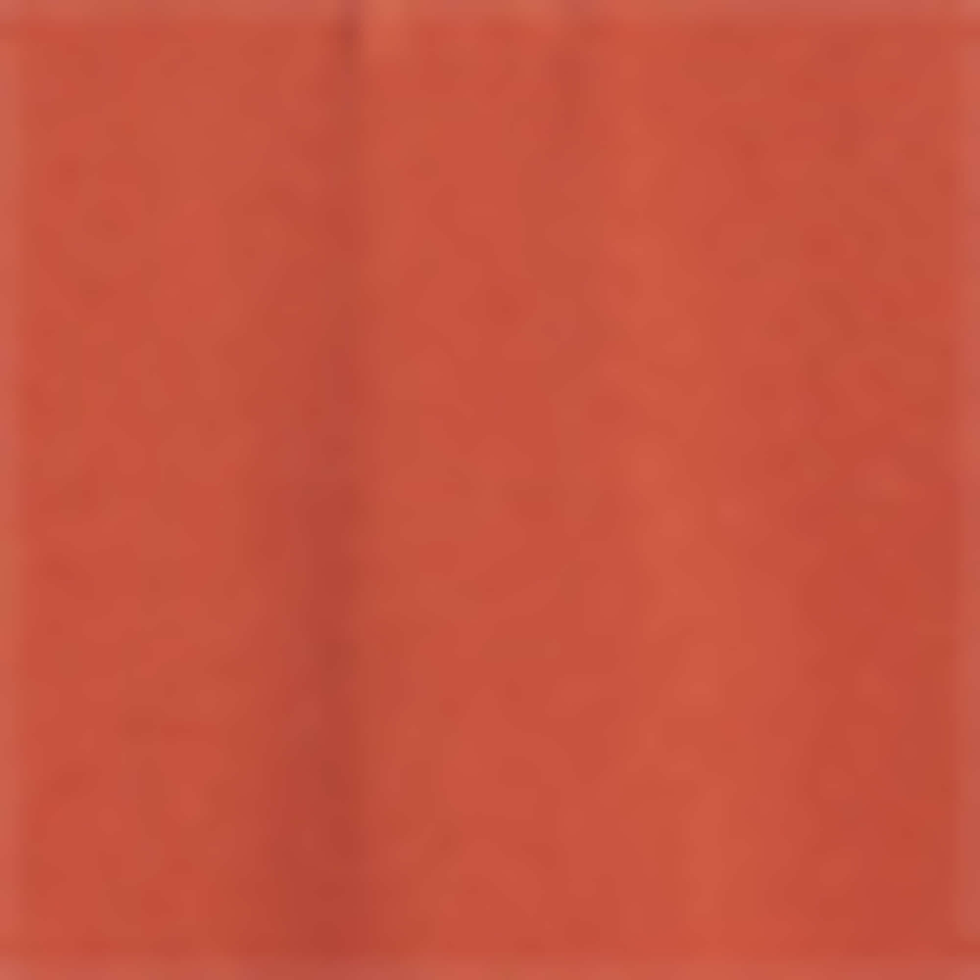 Polo shirt - regular fit rust