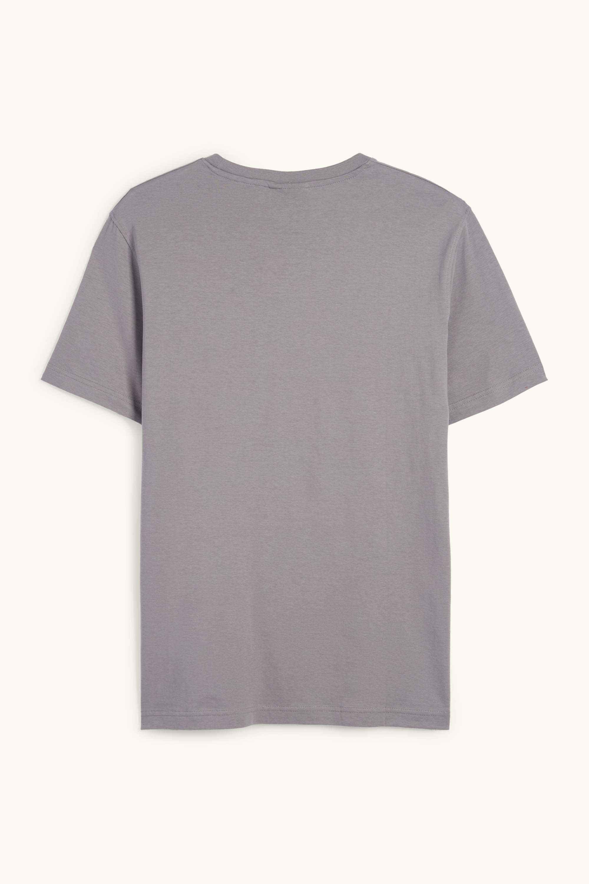 T-shirt - regular fit gray