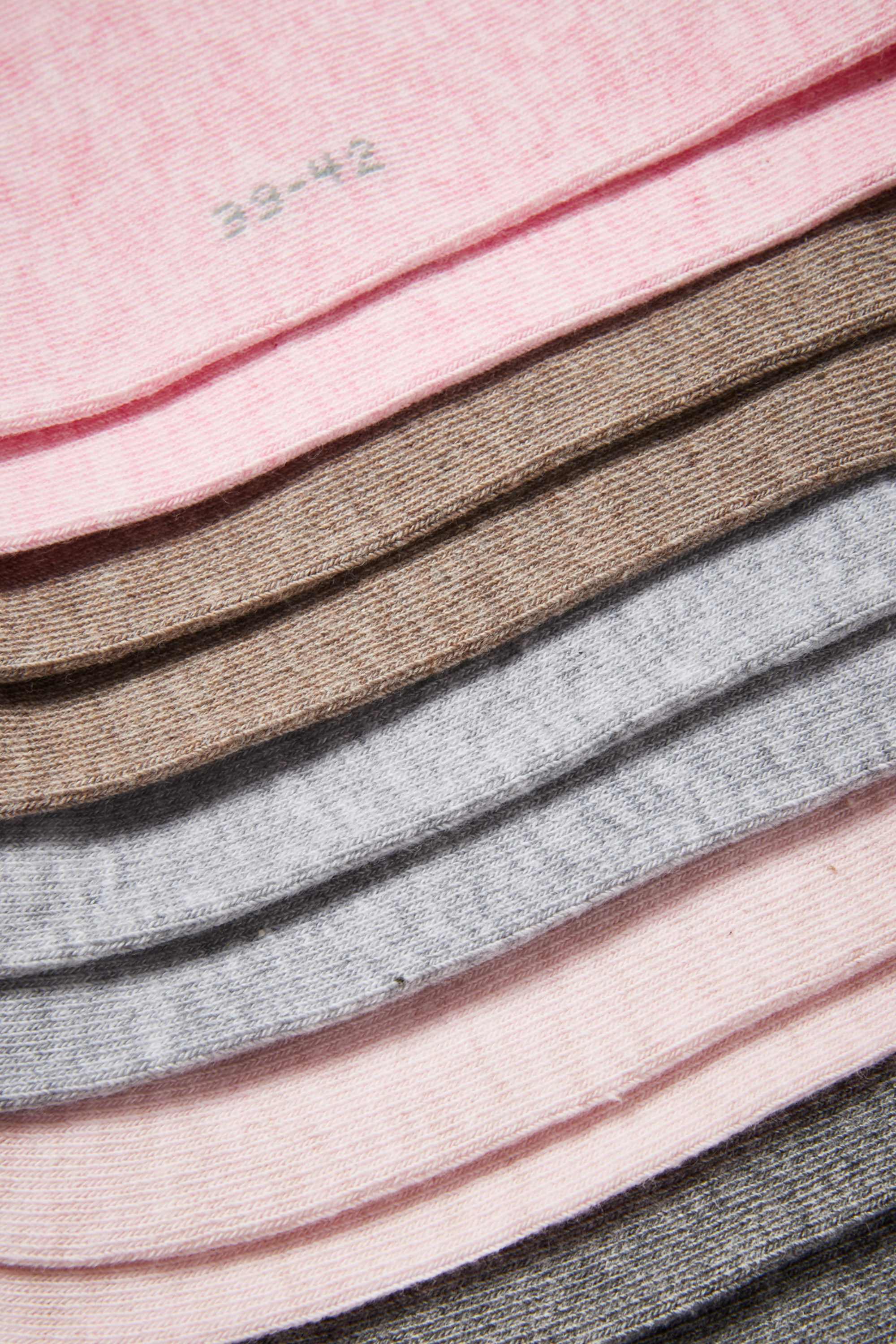 Multipack of 5 - trainer socks rose