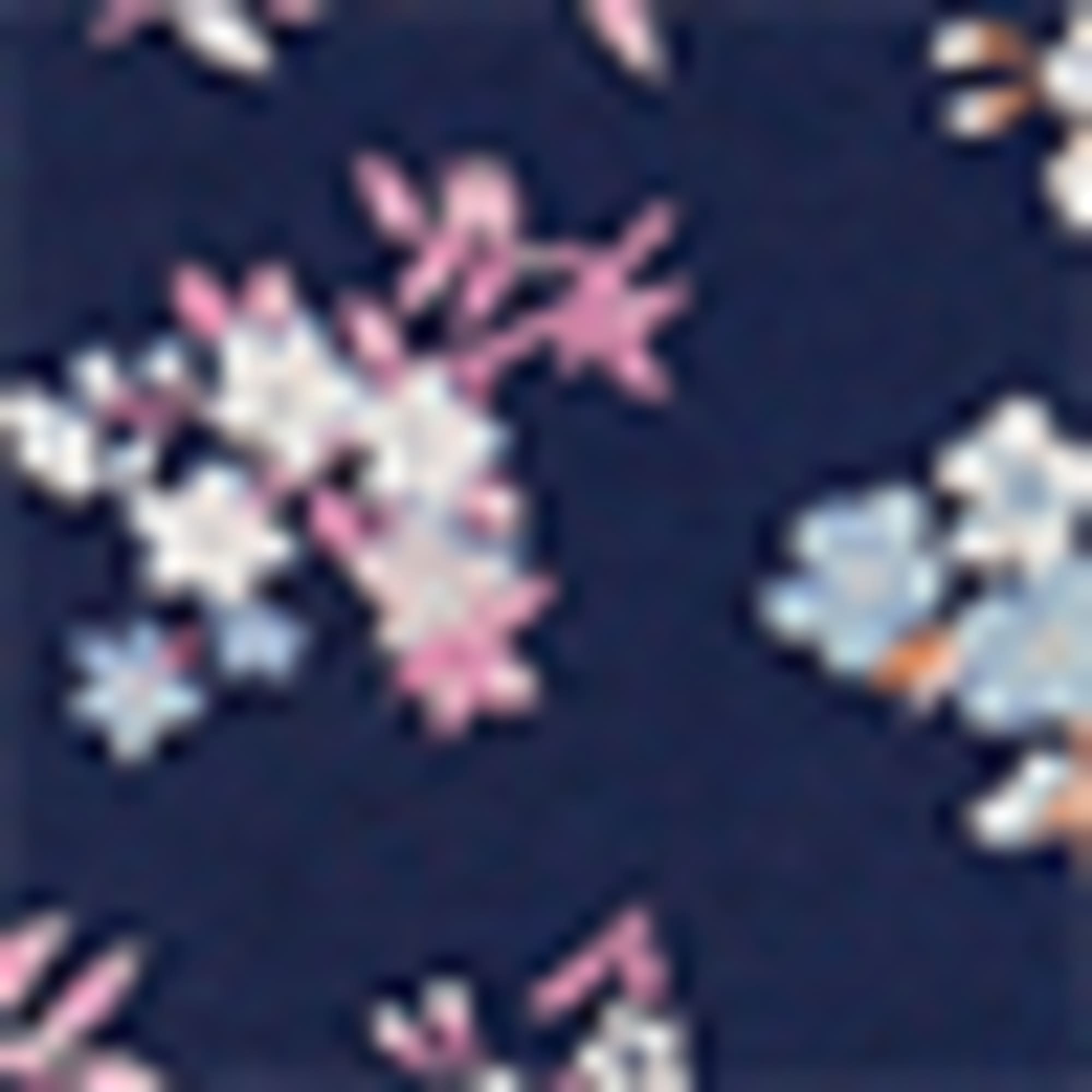 Multipack of 4 - knickers rose / blue