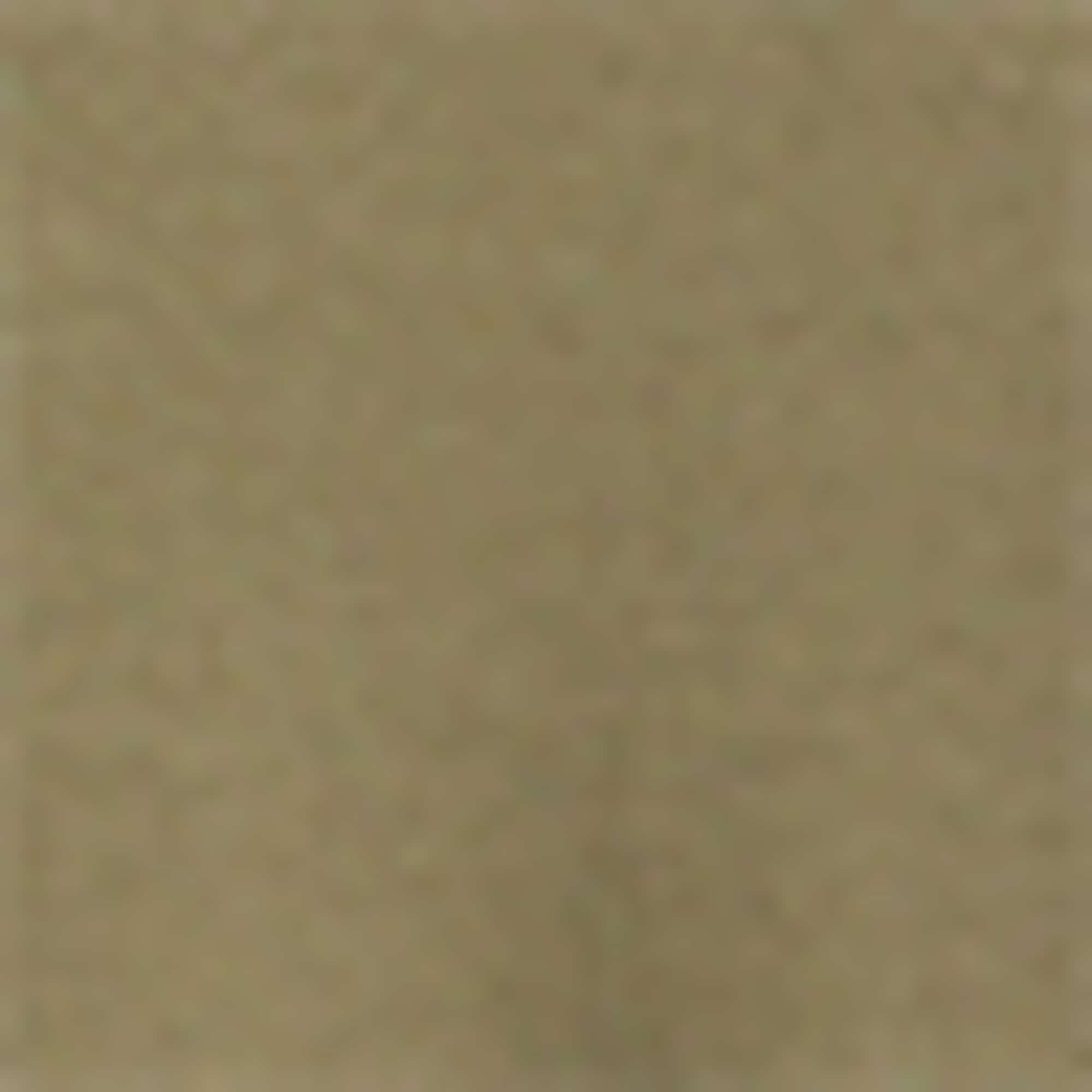 V-neck T-shirt khaki