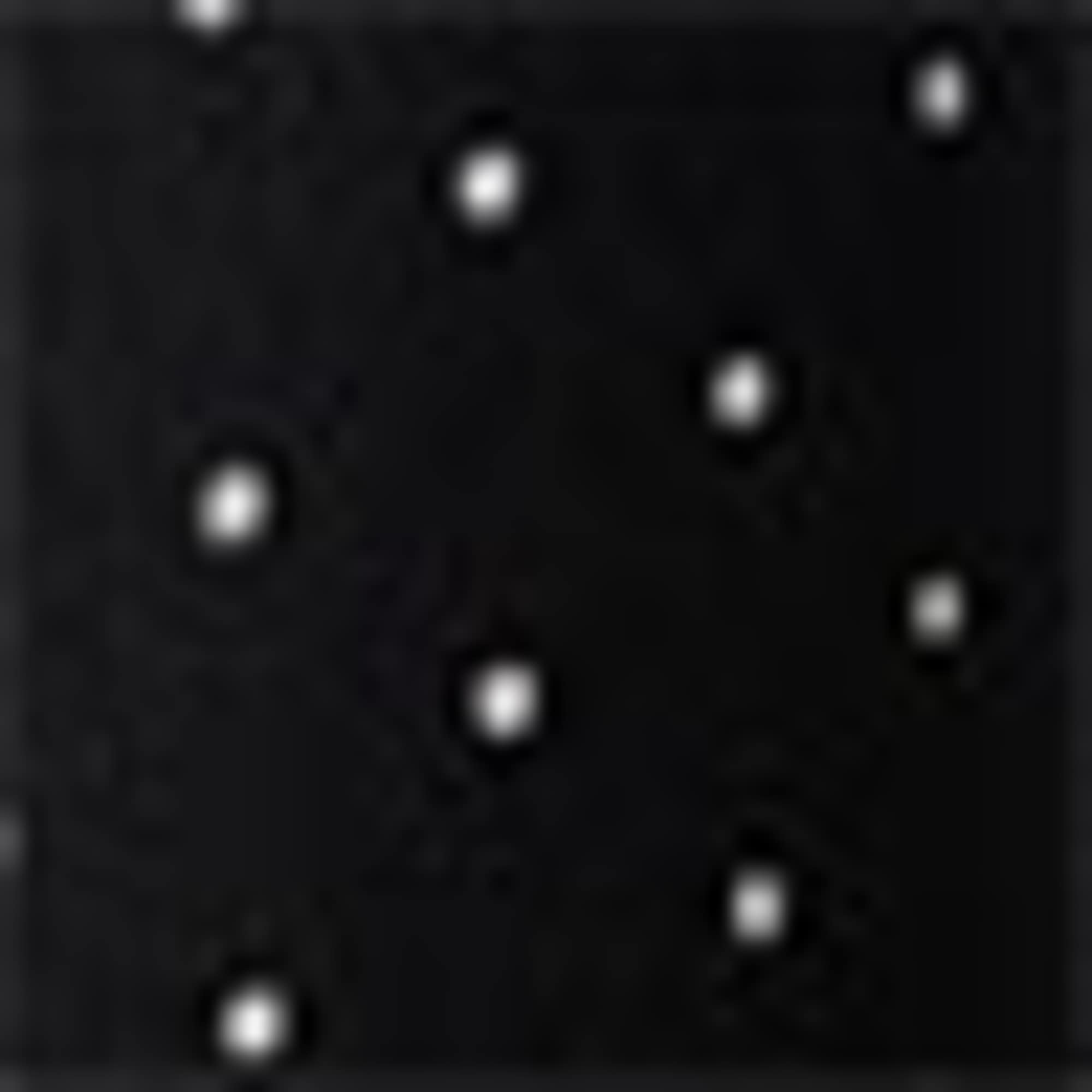 Long sleeve top - polka dot black / white