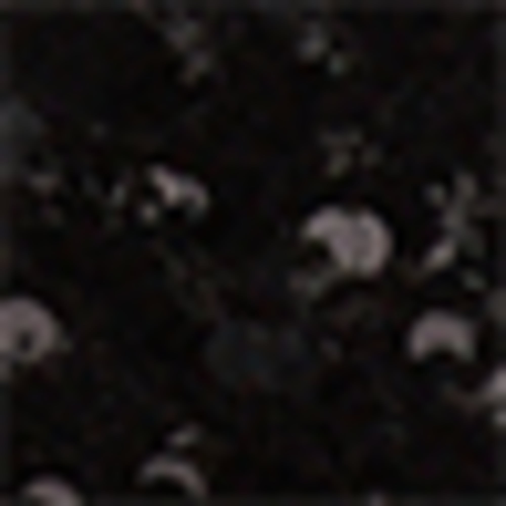 Sequin shorts - high waist black
