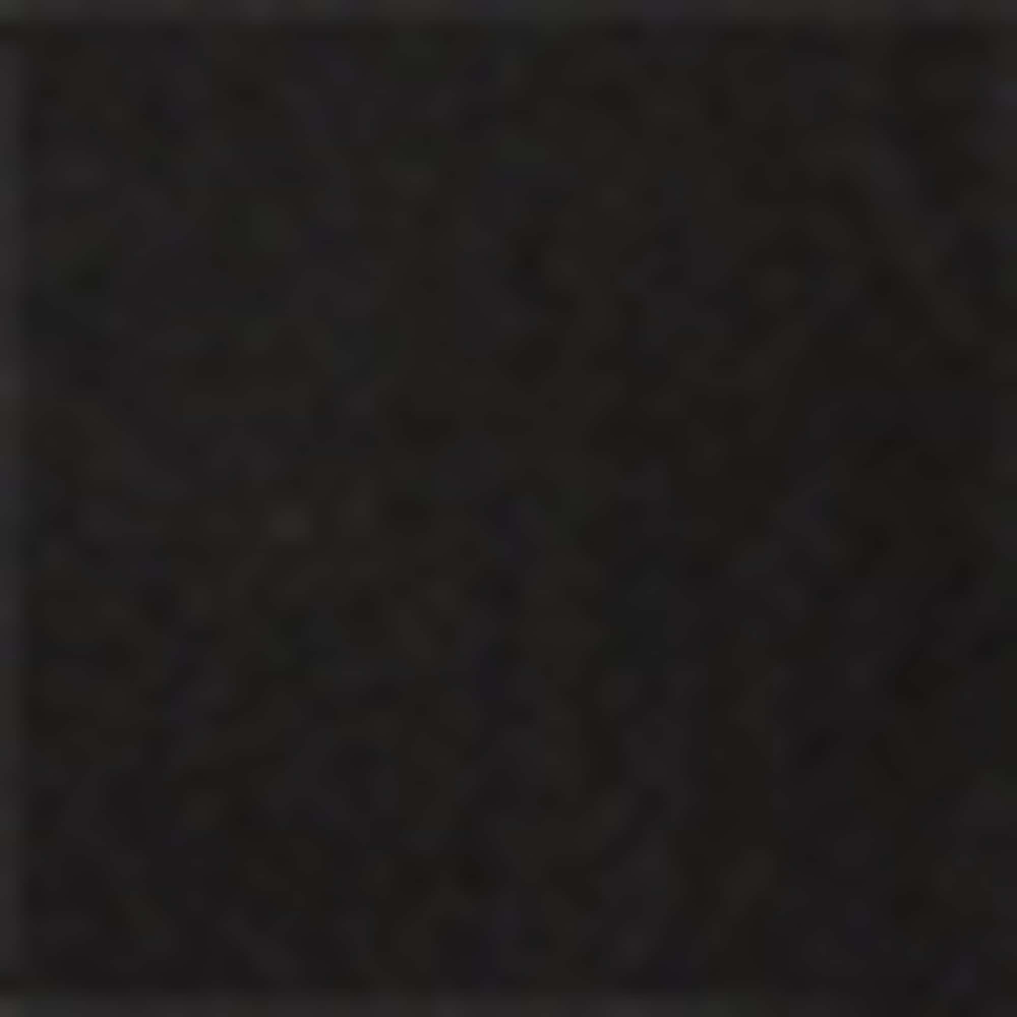 Multipack of 3 - footsies black