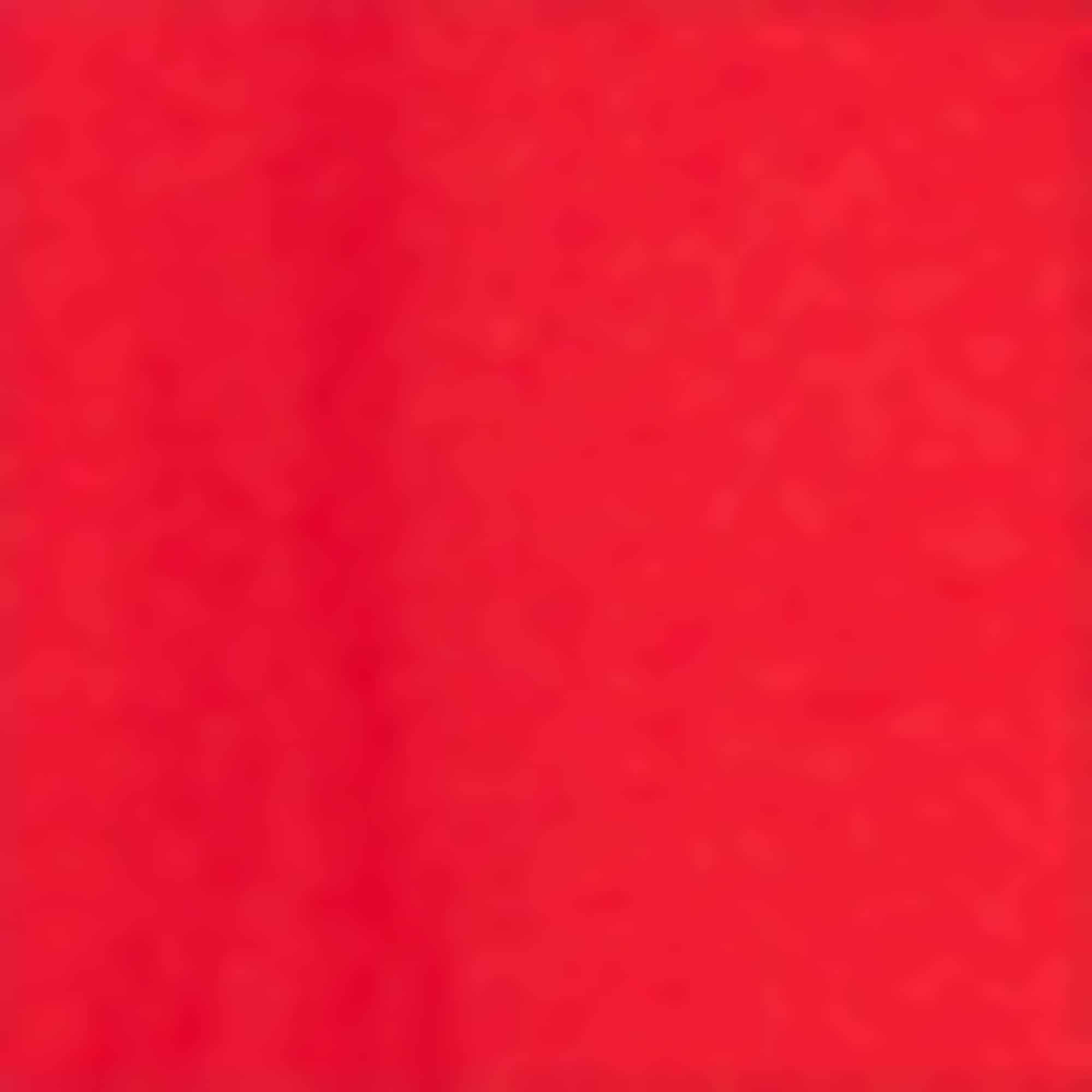 Multipack of 2 - long sleeve top black / red