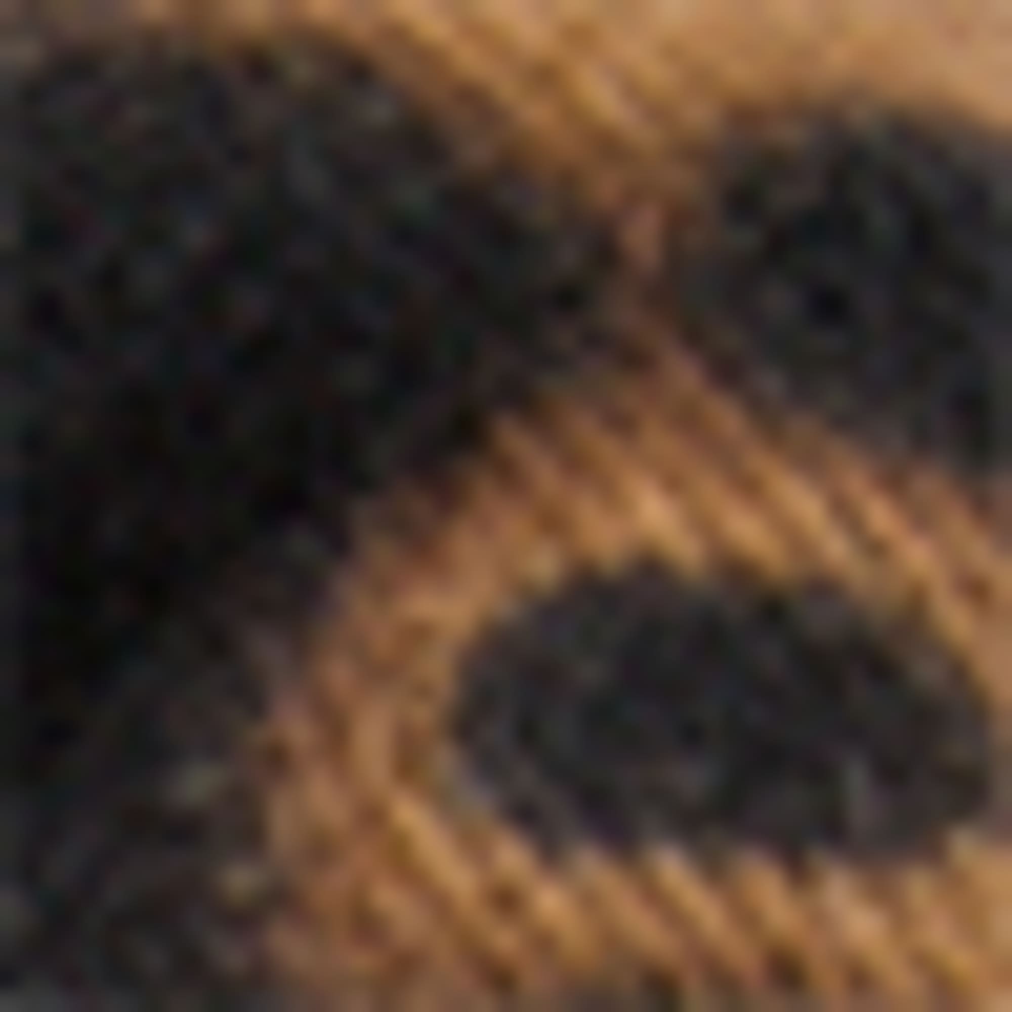 Scarf - leopard print black / beige (1)
